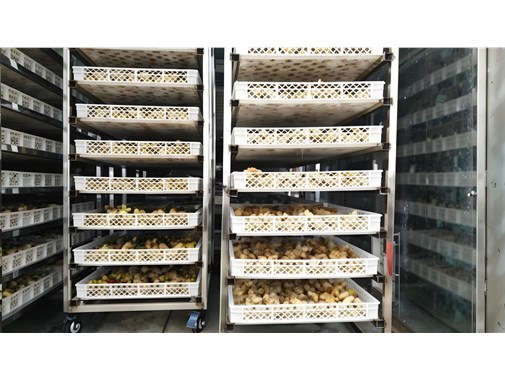 移動(dòng)烘干房在農(nóng)產(chǎn)品烘干中的應(yīng)用與優(yōu)勢